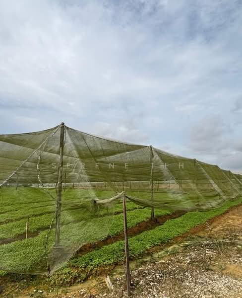 Tanah Perindustrian untuk Dijual di Plentong (Johor) - Serene Teh - Garden - PropertyGuru.com.my