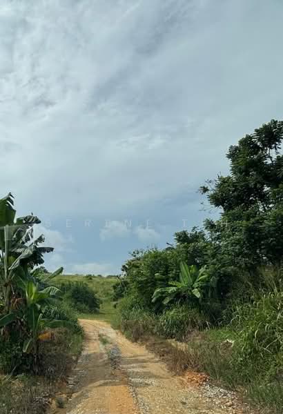 Tanah Perindustrian untuk Dijual di Plentong (Johor) - Serene Teh - Exterior - PropertyGuru.com.my