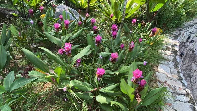 Condominium for Sale at Puncak Prima - Agnes Yap - Garden - PropertyGuru.com.my