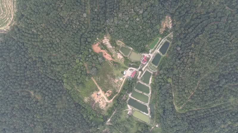 Agricultural Land for Sale in Kulim (Kedah) - LH Ang - Exterior - PropertyGuru.com.my