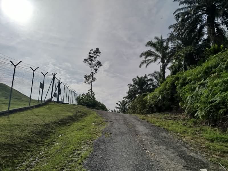 Agricultural Land for Sale in Pekan Nenas (Johor) - Alexius Lim - Exterior - PropertyGuru.com.my