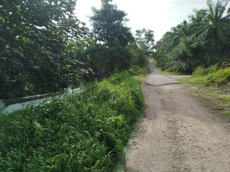 Agricultural Land for Sale in Pekan Nenas (Johor) - Alexius Lim - Exterior - PropertyGuru.com.my