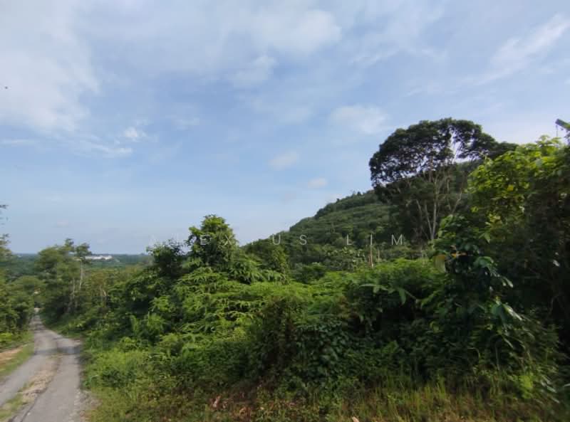 Agricultural Land for Sale in Pekan Nenas (Johor) - Alexius Lim - Exterior - PropertyGuru.com.my