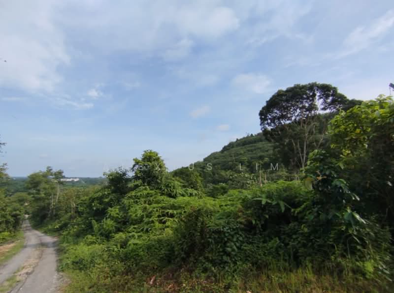 Agricultural Land for Sale in Pekan Nenas (Johor) - Alexius Lim - Exterior - PropertyGuru.com.my