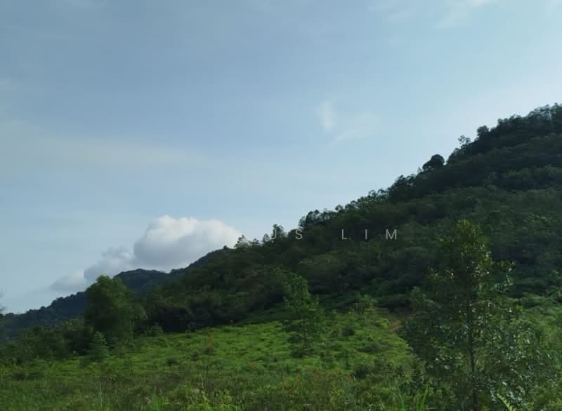 Agricultural Land for Sale in Pekan Nenas (Johor) - Alexius Lim - Exterior - PropertyGuru.com.my