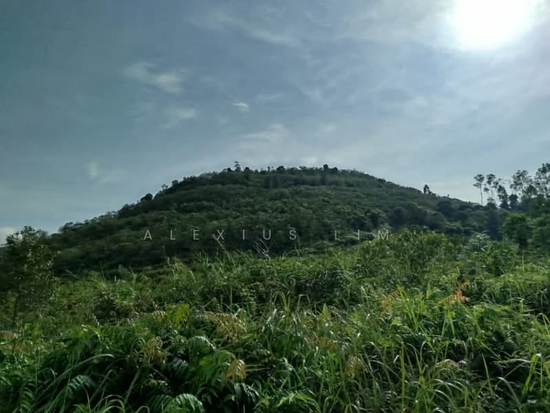 Agricultural Land for Sale in Pekan Nenas (Johor) - Alexius Lim - Exterior - PropertyGuru.com.my