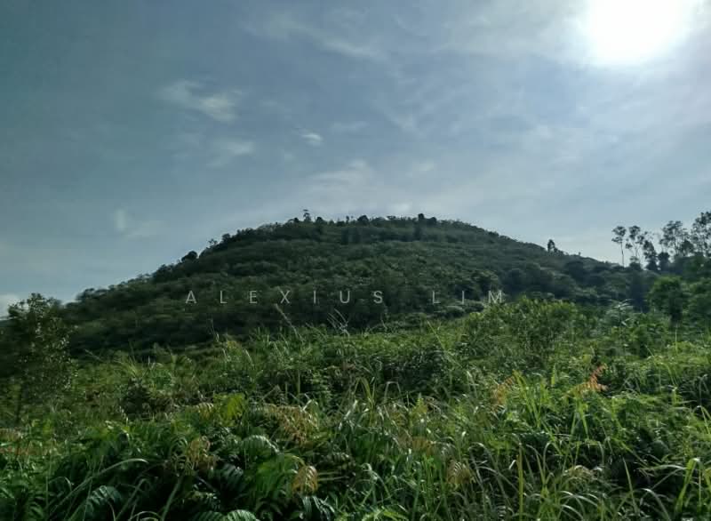 Agricultural Land for Sale in Pekan Nenas (Johor) - Alexius Lim - Exterior - PropertyGuru.com.my