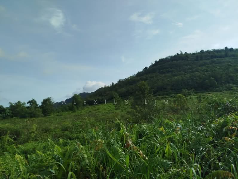 Agricultural Land for Sale in Pekan Nenas (Johor) - Alexius Lim - Exterior - PropertyGuru.com.my