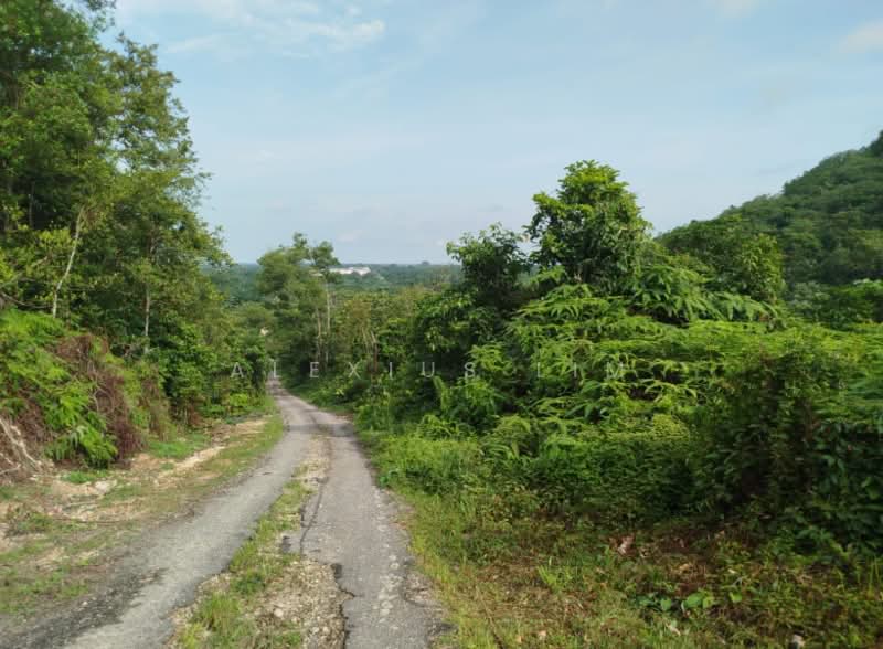Agricultural Land for Sale in Pekan Nenas (Johor) - Alexius Lim - Exterior - PropertyGuru.com.my