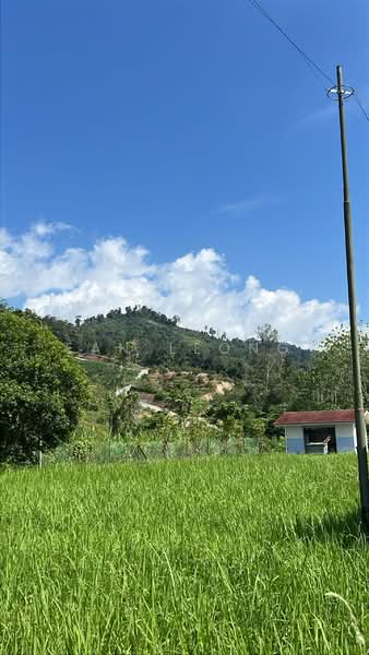 Tanah Pertanian untuk Dijual di Kampung Kuala Repas (Bentong) - Ean Leong - Exterior - PropertyGuru.com.my