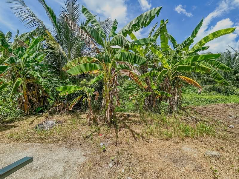 1-storey Terraced House for Sale in Pekan Kapar (Kapar) - Hairi Halim - PropertyGuru.com.my