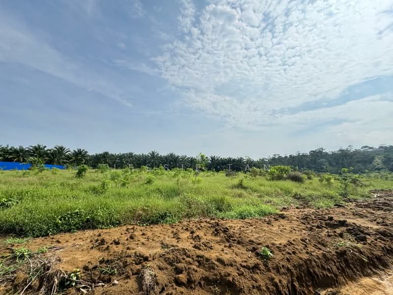 Agricultural Land for Sale in Kangkar Pulai (Skudai) - Jessie Tan - Exterior - PropertyGuru.com.my