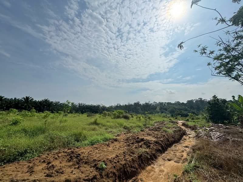 Agricultural Land for Sale in Kangkar Pulai (Skudai) - Jessie Tan - Exterior - PropertyGuru.com.my