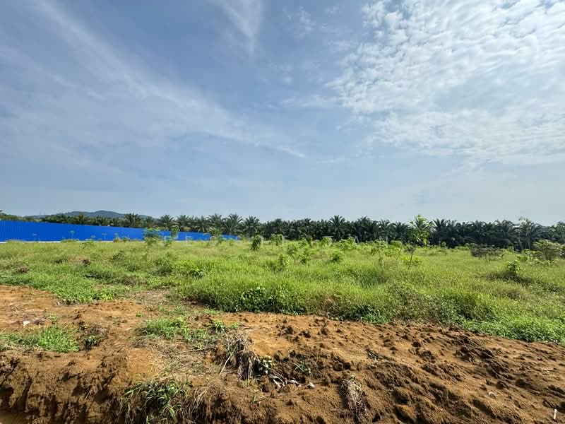 Agricultural Land for Sale in Kangkar Pulai (Skudai) - Jessie Tan - Exterior - PropertyGuru.com.my