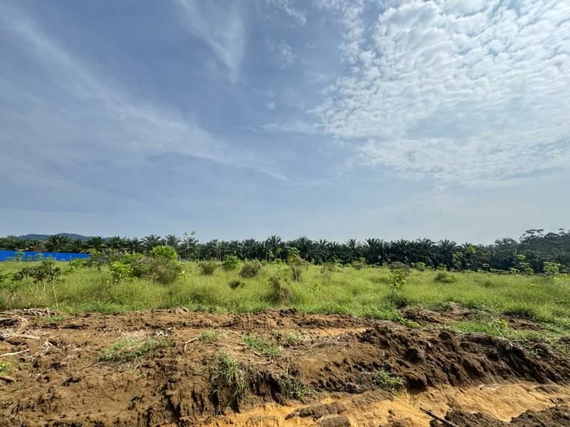 Agricultural Land for Sale in Kangkar Pulai (Skudai) - Jessie Tan - Exterior - PropertyGuru.com.my