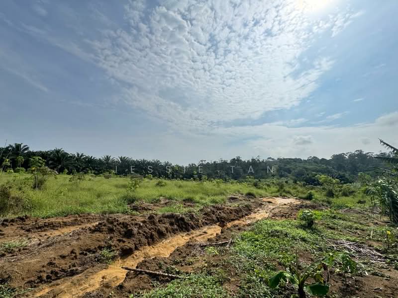 Agricultural Land for Sale in Kangkar Pulai (Skudai) - Jessie Tan - Garden - PropertyGuru.com.my