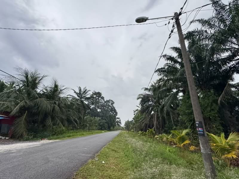 Tanah Pertanian untuk Dijual di Pontian (Johor) - Jessie Tan - Exterior - PropertyGuru.com.my