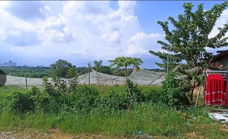 Tanah Pertanian untuk Dijual di Taman Perling (Perling) - Alexius Lim - Exterior - PropertyGuru.com.my