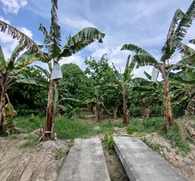 Tanah Pertanian untuk Dijual di Ayer Baloi (Johor) - Alexius Lim - Garden - PropertyGuru.com.my