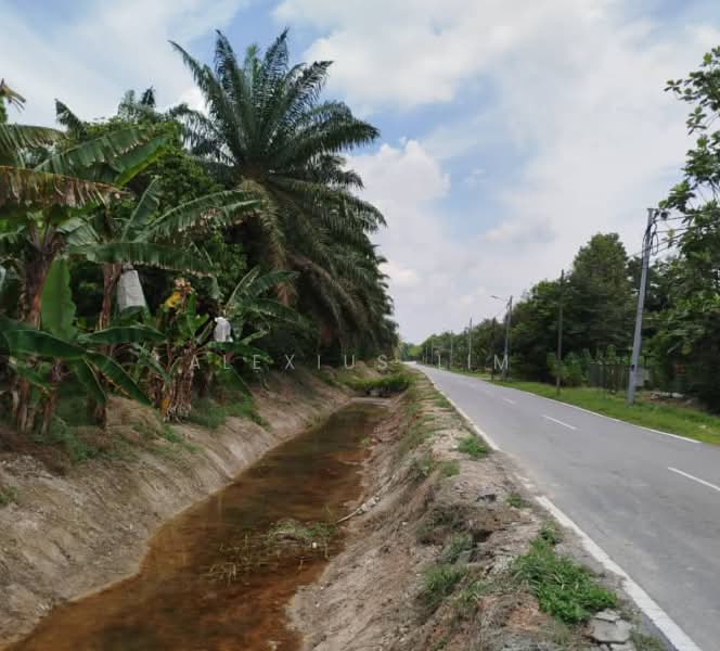 Tanah Pertanian untuk Dijual di Ayer Baloi (Johor) - Alexius Lim - Exterior - PropertyGuru.com.my