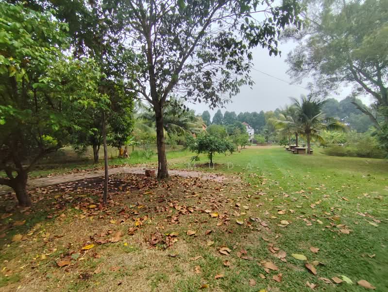 Agricultural Land for Sale in Batu 32 (Banting) - Zai Muda - PropertyGuru.com.my