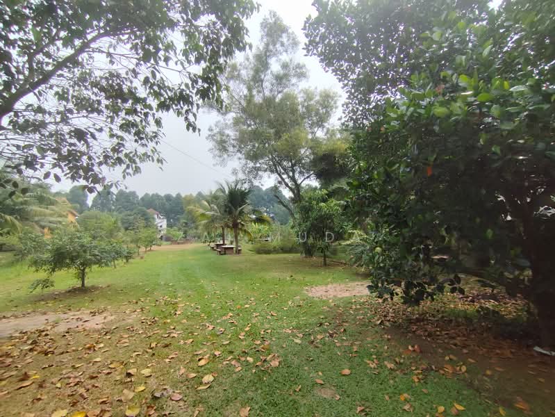 Agricultural Land for Sale in Batu 32 (Banting) - Zai Muda - PropertyGuru.com.my