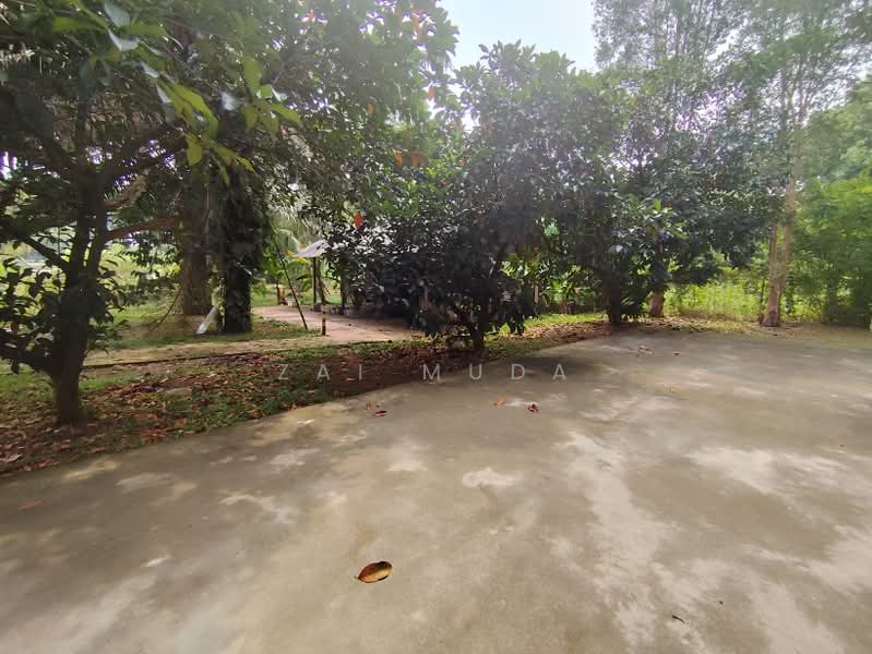Agricultural Land for Sale in Batu 32 (Banting) - Zai Muda - PropertyGuru.com.my