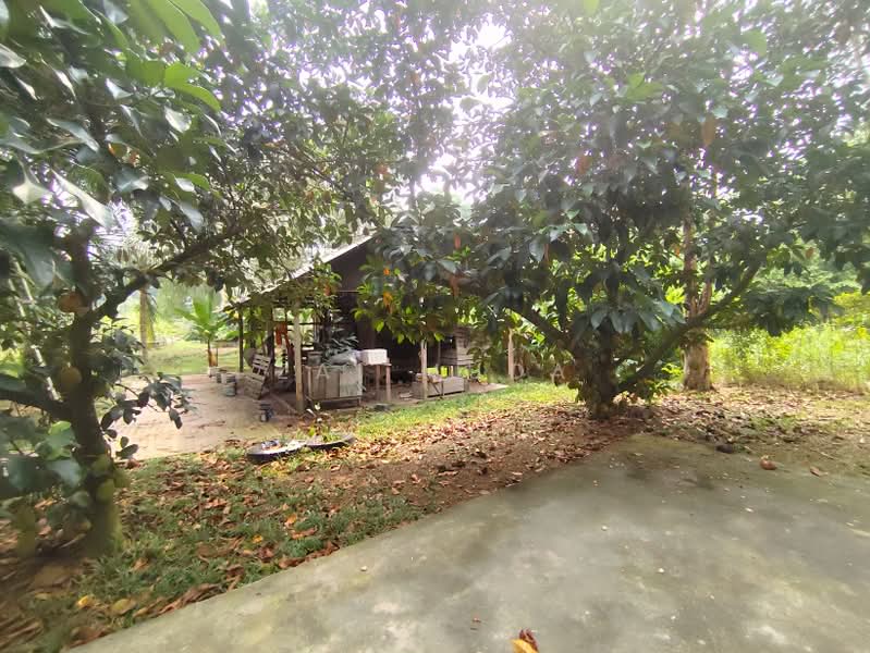 Agricultural Land for Sale in Batu 32 (Banting) - Zai Muda - PropertyGuru.com.my
