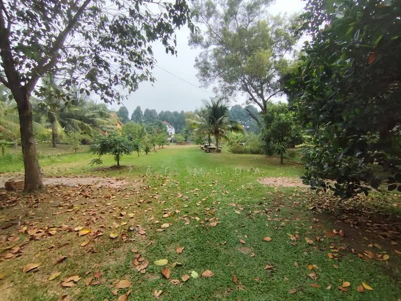 Agricultural Land for Sale in Batu 32 (Banting) - Zai Muda - PropertyGuru.com.my