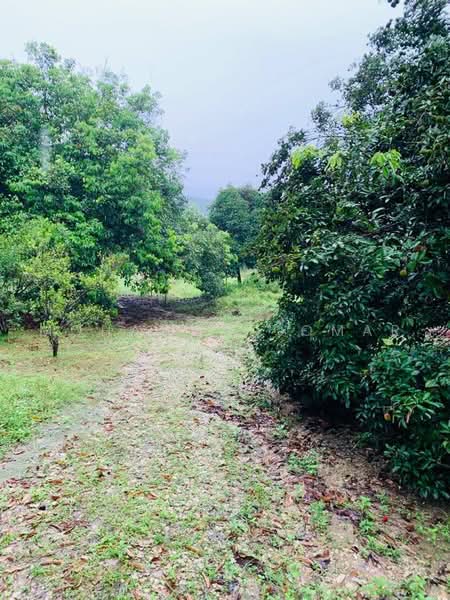 Agricultural Land for Sale in Serendah (Selangor) - Mohammad Omar - PropertyGuru.com.my