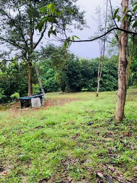 Agricultural Land for Sale in Serendah (Selangor) - Mohammad Omar - PropertyGuru.com.my