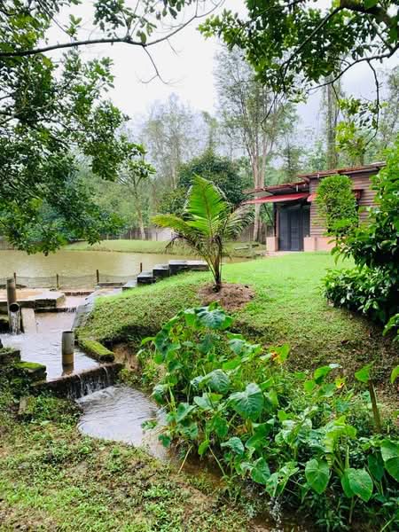 Agricultural Land for Sale in Serendah (Selangor) - Mohammad Omar - PropertyGuru.com.my
