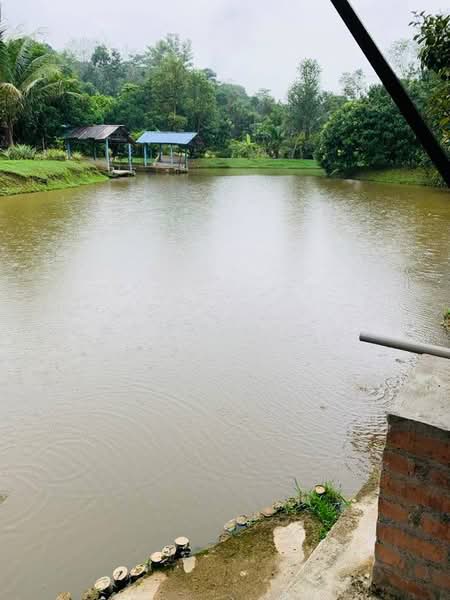 Agricultural Land for Sale in Serendah (Selangor) - Mohammad Omar - PropertyGuru.com.my