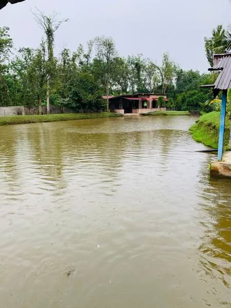 Agricultural Land for Sale in Serendah (Selangor) - Mohammad Omar - PropertyGuru.com.my
