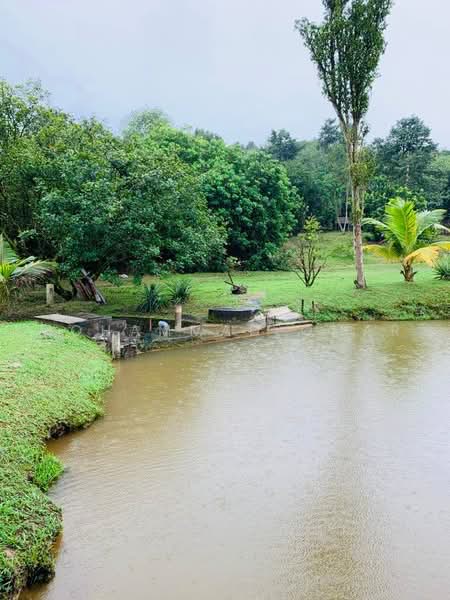 Agricultural Land for Sale in Serendah (Selangor) - Mohammad Omar - PropertyGuru.com.my
