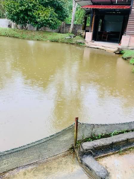 Agricultural Land for Sale in Serendah (Selangor) - Mohammad Omar - PropertyGuru.com.my