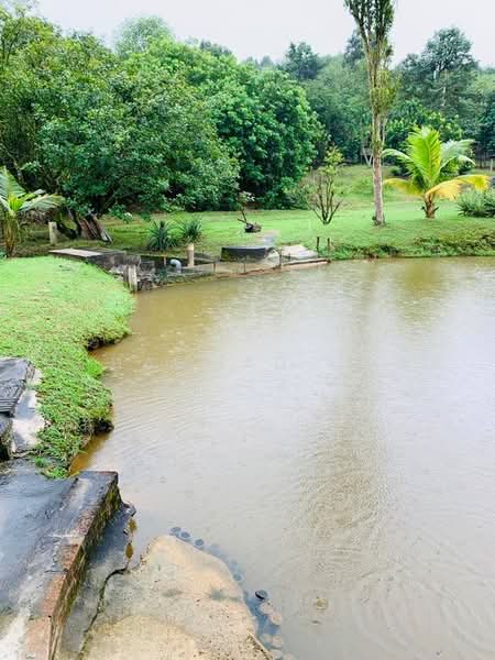 Agricultural Land for Sale in Serendah (Selangor) - Mohammad Omar - PropertyGuru.com.my