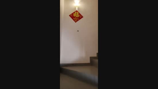 Rumah Teres 2-Tingkat untuk Disewa di Sungai Ara (Penang) - KH Tan - PropertyGuru.com.my