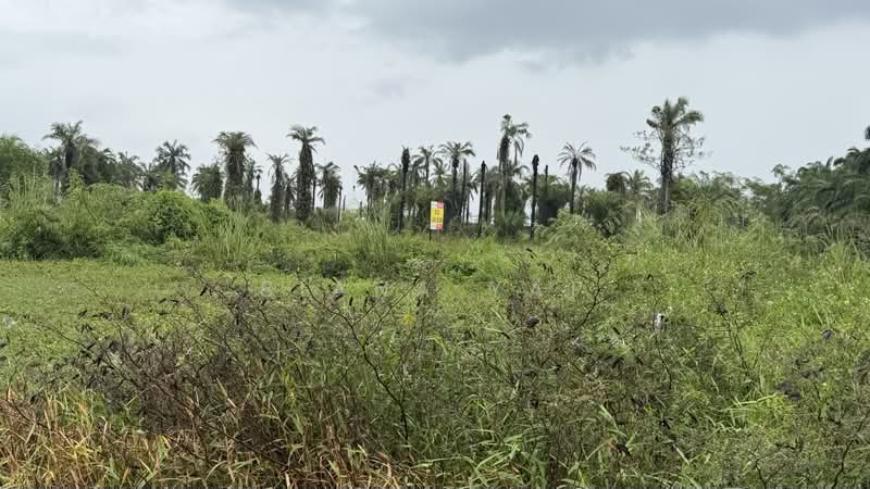 Industrial Land for Sale in Rasa (Selangor) - Biana Yap - Exterior - PropertyGuru.com.my