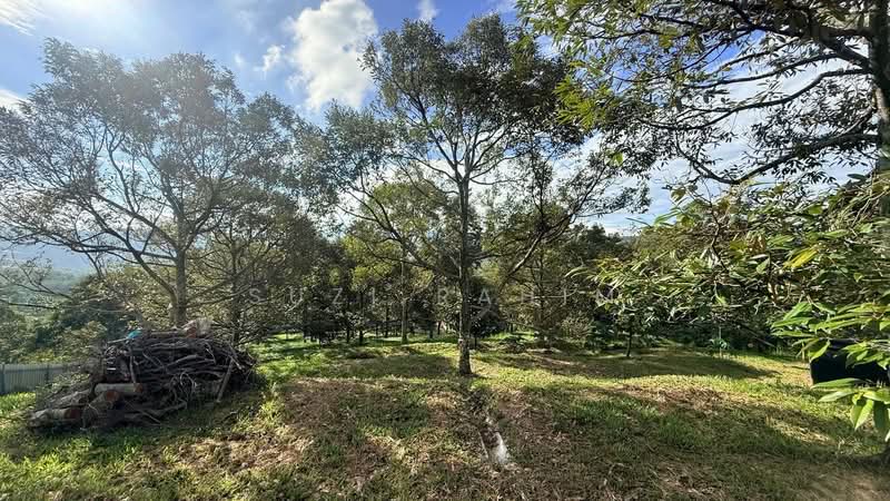 Agricultural Land for Sale in Lenggeng (Negeri Sembilan) - Suzi Rahim - Garden - PropertyGuru.com.my