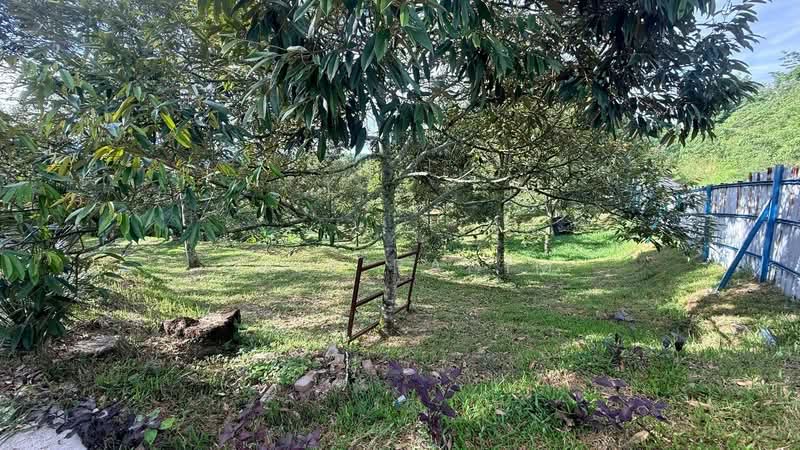 Agricultural Land for Sale in Lenggeng (Negeri Sembilan) - Suzi Rahim - Garden - PropertyGuru.com.my
