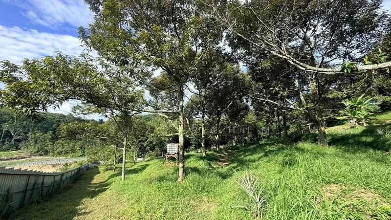 Agricultural Land for Sale in Lenggeng (Negeri Sembilan) - Suzi Rahim - Exterior - PropertyGuru.com.my