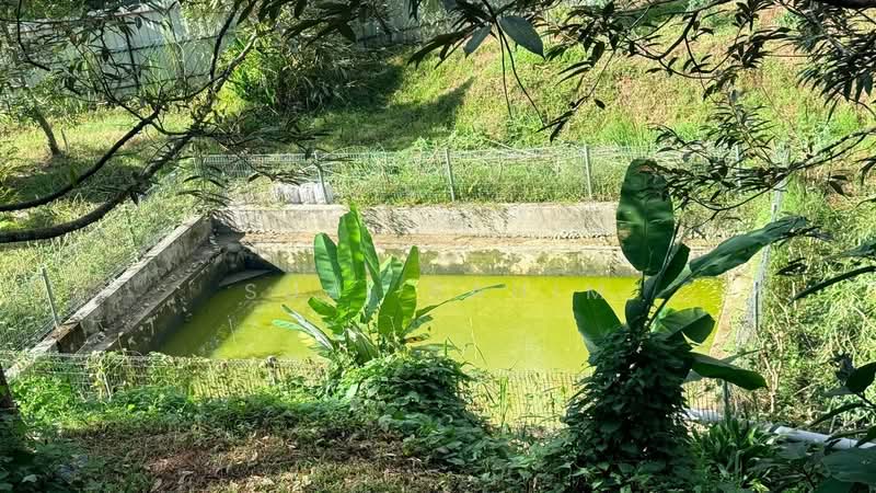 Agricultural Land for Sale in Lenggeng (Negeri Sembilan) - Suzi Rahim - Exterior - PropertyGuru.com.my