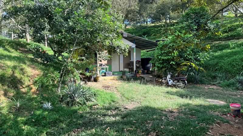 Agricultural Land for Sale in Lenggeng (Negeri Sembilan) - Suzi Rahim - Exterior - PropertyGuru.com.my