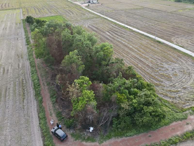 Residential Land for Sale in Pasir Mas (Kelantan) - Izzah Alias - Exterior - PropertyGuru.com.my