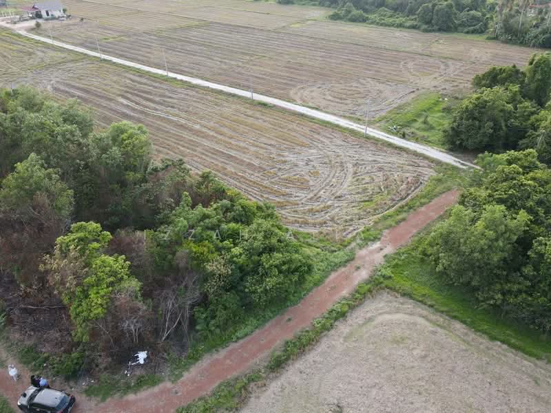 Residential Land for Sale in Pasir Mas (Kelantan) - Izzah Alias - Exterior - PropertyGuru.com.my