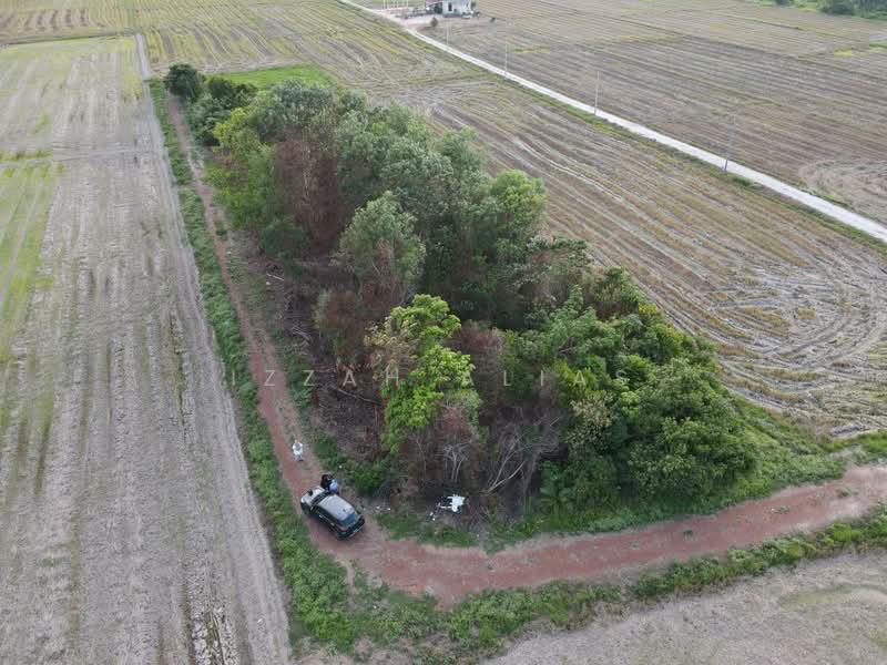 Residential Land for Sale in Pasir Mas (Kelantan) - Izzah Alias - Exterior - PropertyGuru.com.my