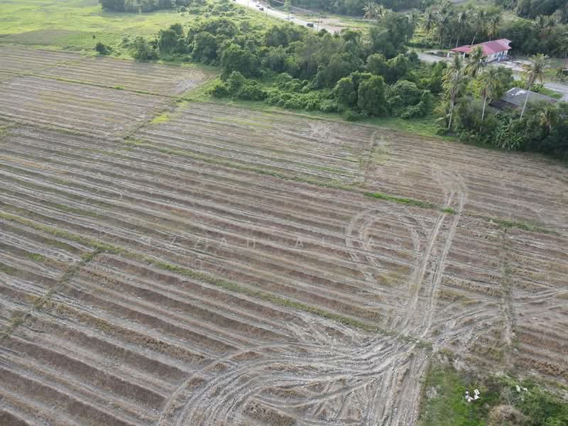 Residential Land for Sale in Pasir Mas (Kelantan) - Izzah Alias - Exterior - PropertyGuru.com.my