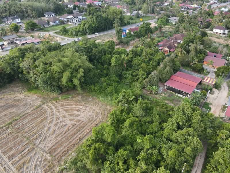 Residential Land for Sale in Pasir Mas (Kelantan) - Izzah Alias - Exterior - PropertyGuru.com.my