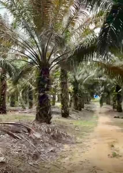 Tanah Perindustrian untuk Dijual di Kampung Baru Ban Foo (Ulu Tiram) - PK Teo - Exterior - PropertyGuru.com.my